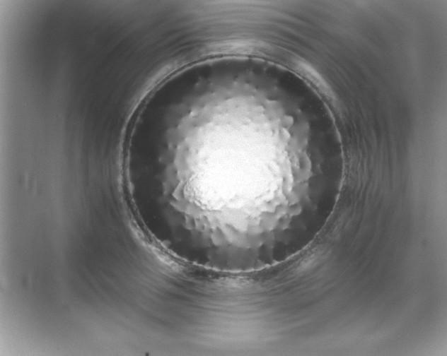 X0000071830994200607072205