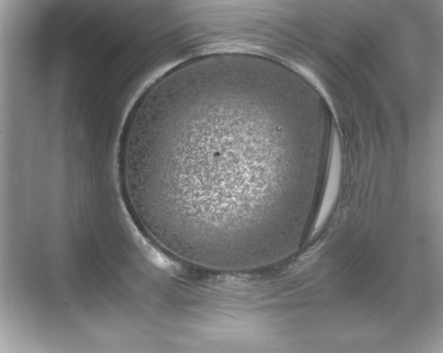 X0000071830995200607072205