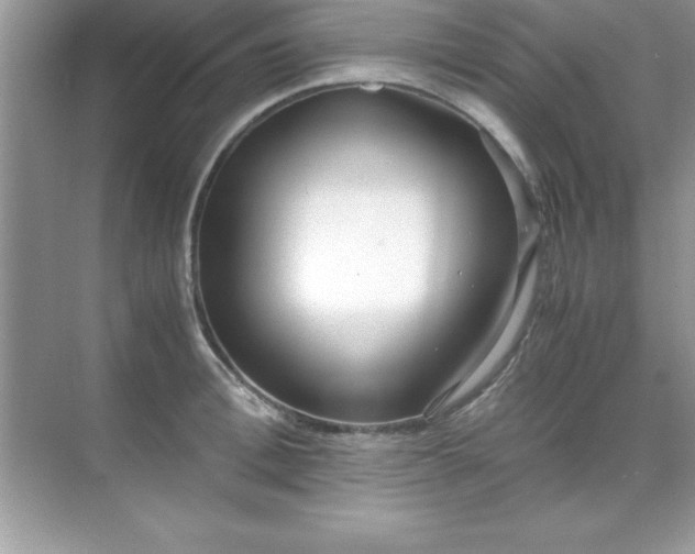 X0000071830996200607072205