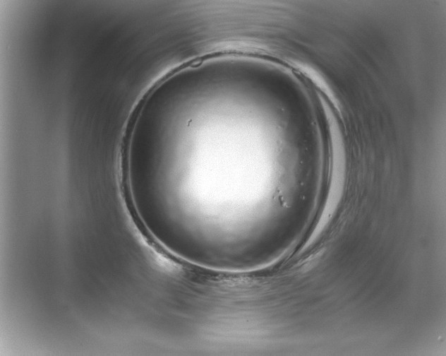 X0000071830999200607072205