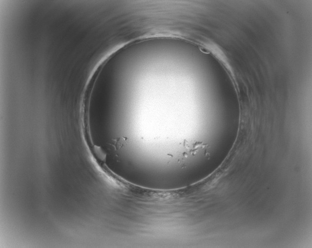 X0000071831003200607072205