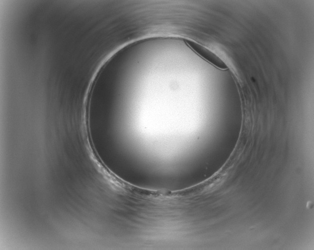 X0000071831004200607072205