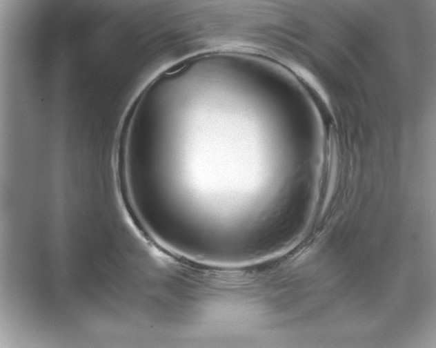 X0000071831007200607072205