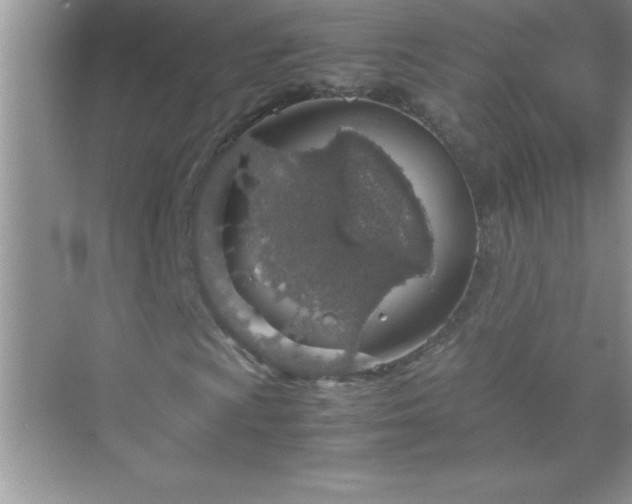 X0000071831009200607072204