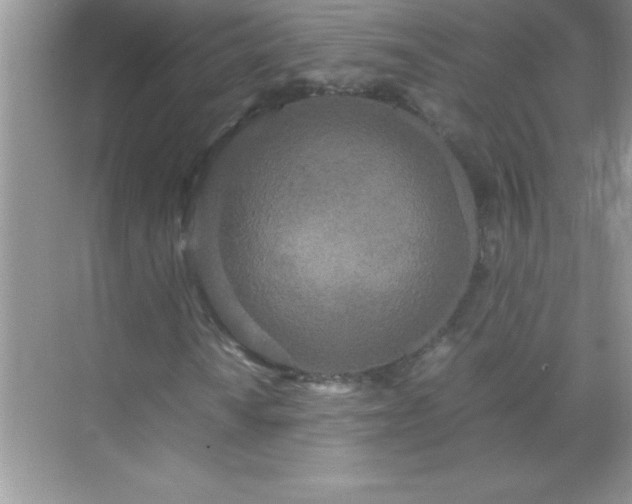 X0000071831010200607072204