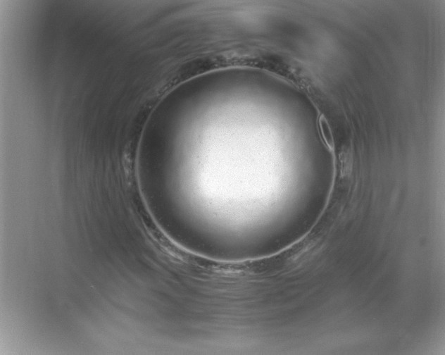 X0000071831011200607072204