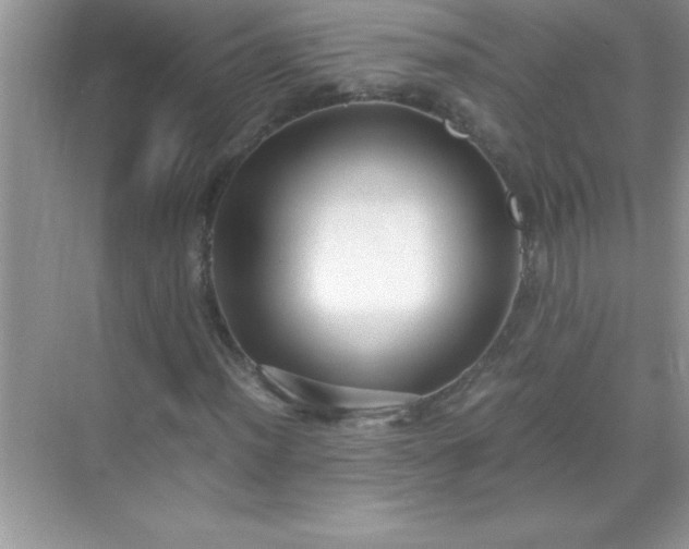 X0000071831012200607072204