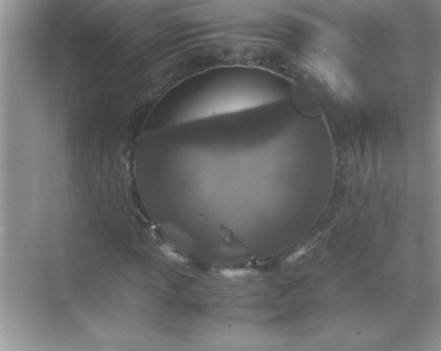 X0000071831013200607072204