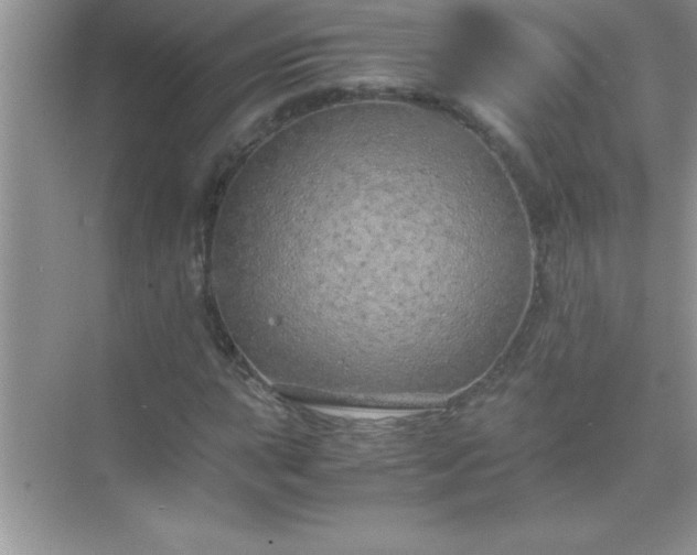 X0000071831015200607072204