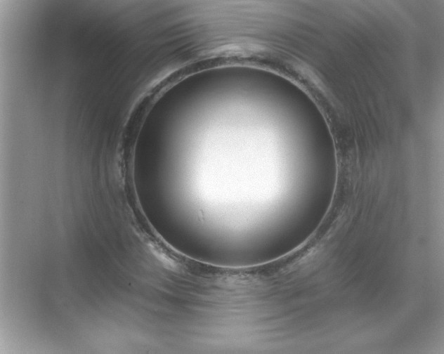 X0000071831018200607072204