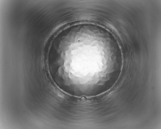 X0000071831019200607072204