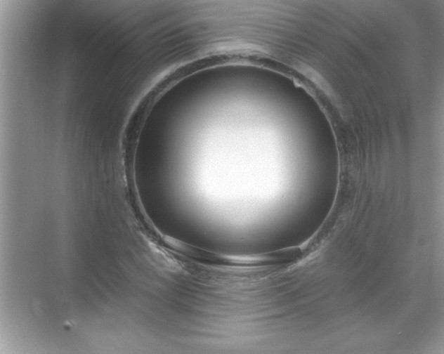 X0000071831022200607072204