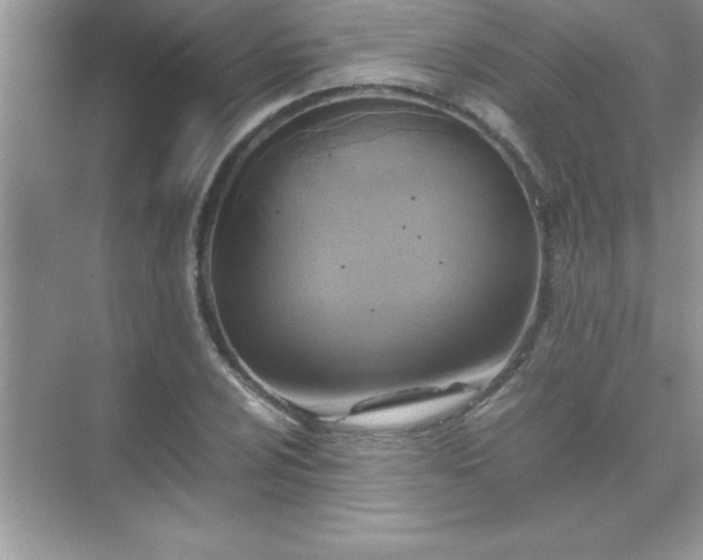 X0000071831024200607072204