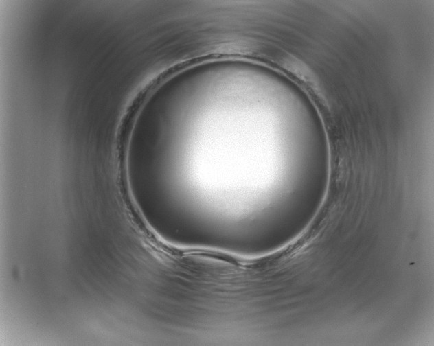 X0000071831027200607072204