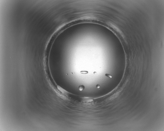 X0000071831029200607072204