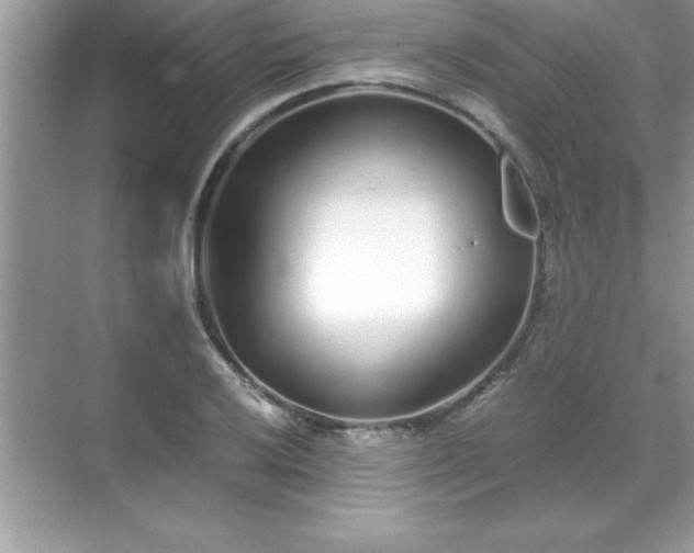 X0000071831032200607072204