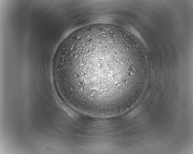 X0000071831035200607072204