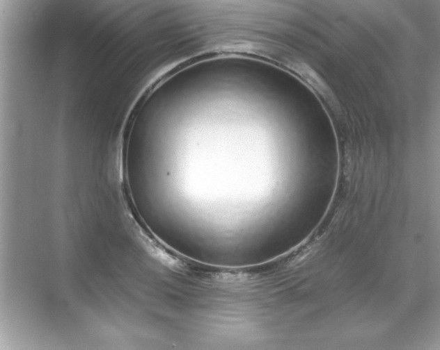 X0000071831036200607072204