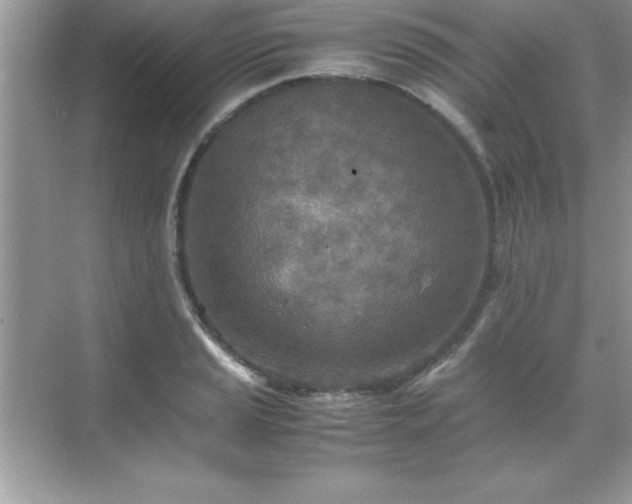 X0000071831037200607072204