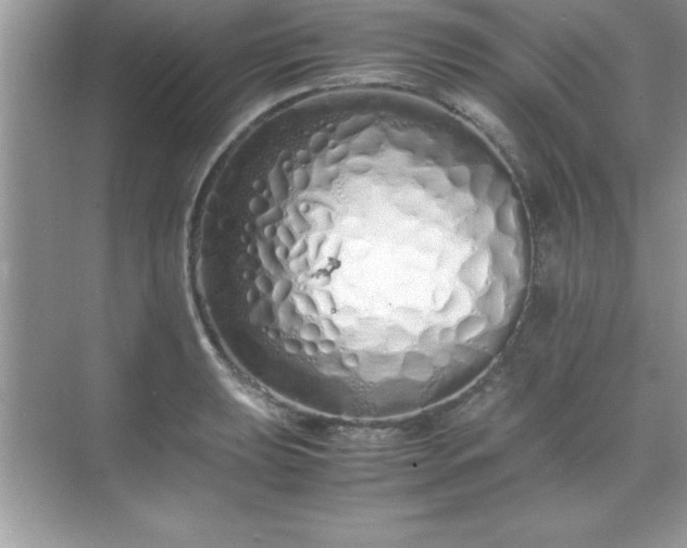 X0000071831039200607072204