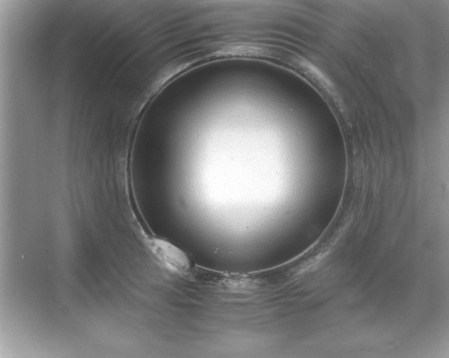 X0000071831041200607072204