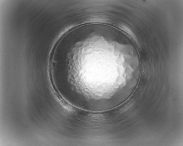 X0000071831043200607072204