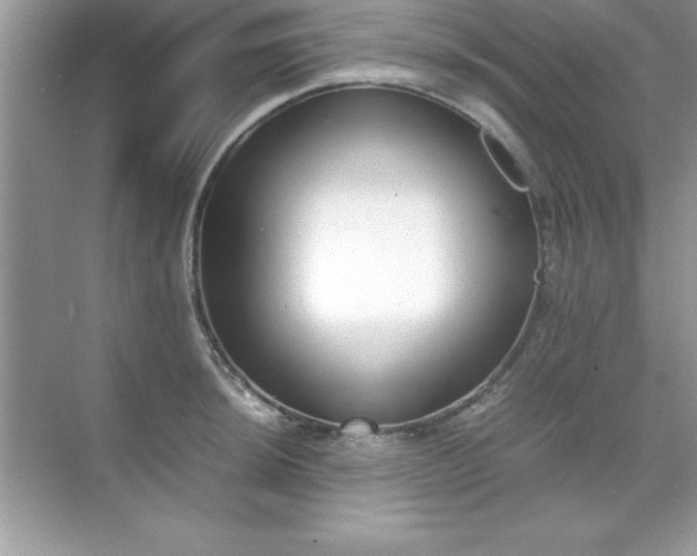 X0000071831044200607072204