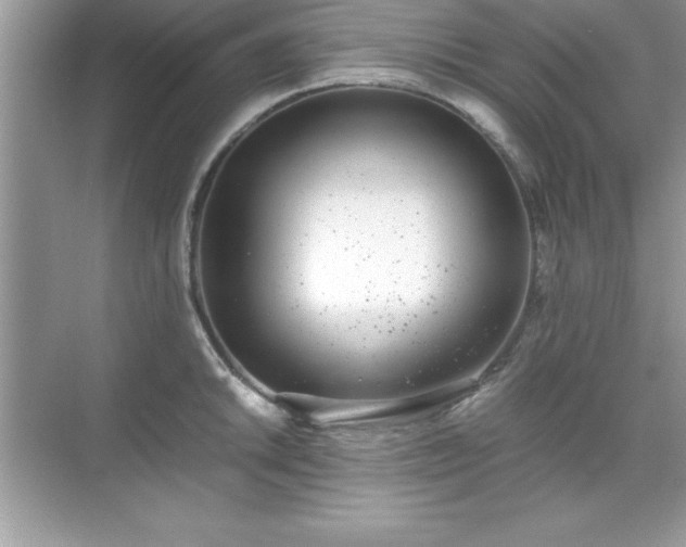 X0000071831046200607072204