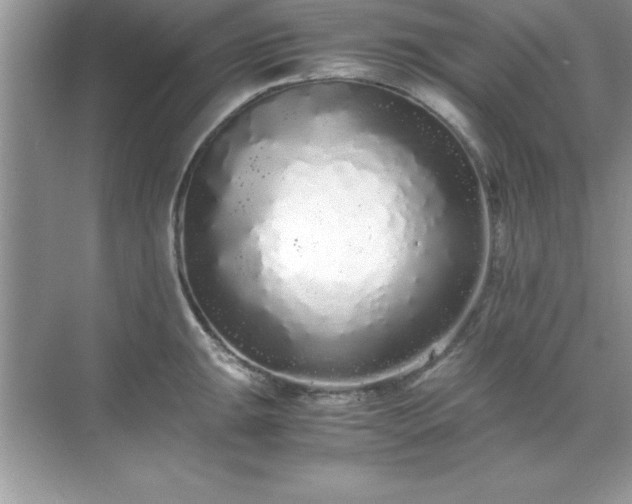 X0000071831047200607072205