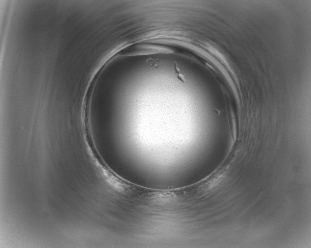 X0000071831050200607072205