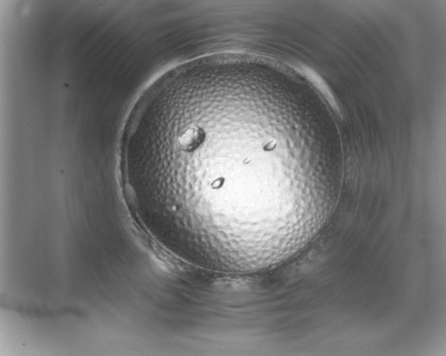 X0000071831051200607072205