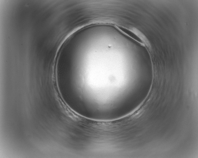 X0000071831052200607072205