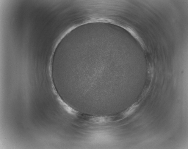 X0000071831054200607072205