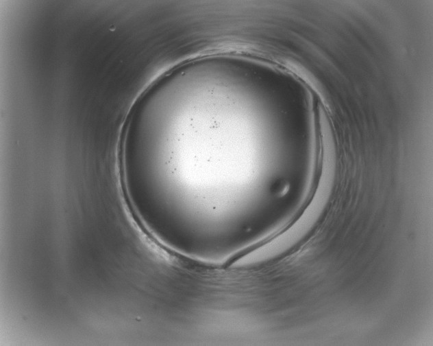 X0000071831055200607072205