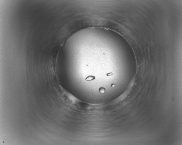 X0000071831058200607072204