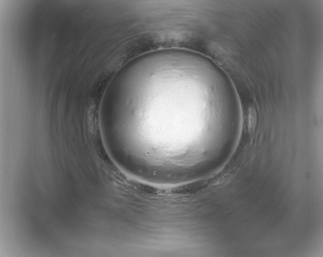 X0000071831059200607072204