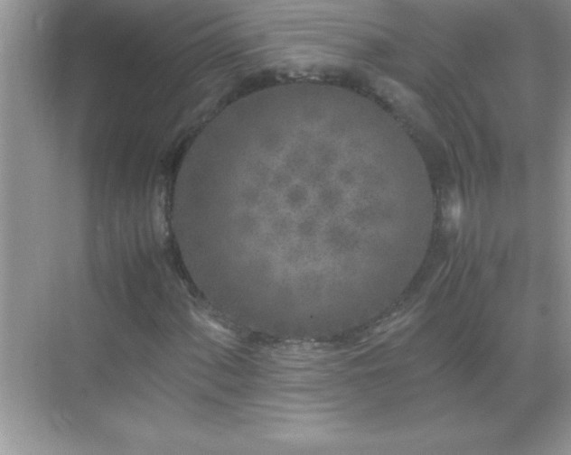 X0000071831060200607072204