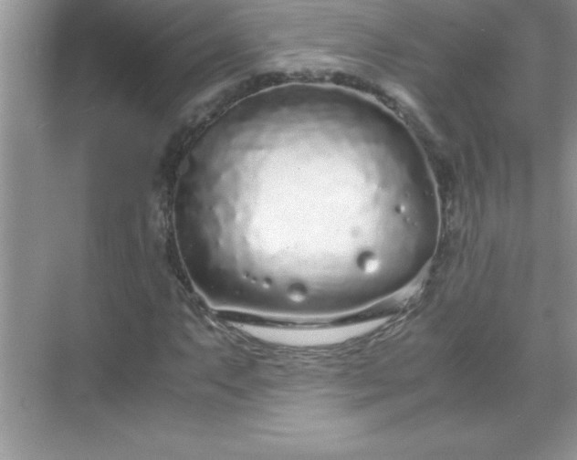 X0000071831063200607072204