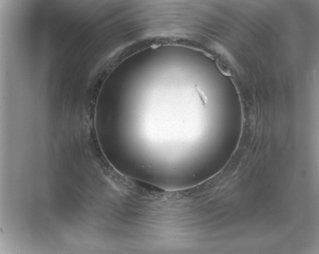 X0000071831064200607072204