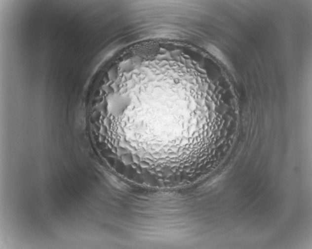 X0000071831067200607072204