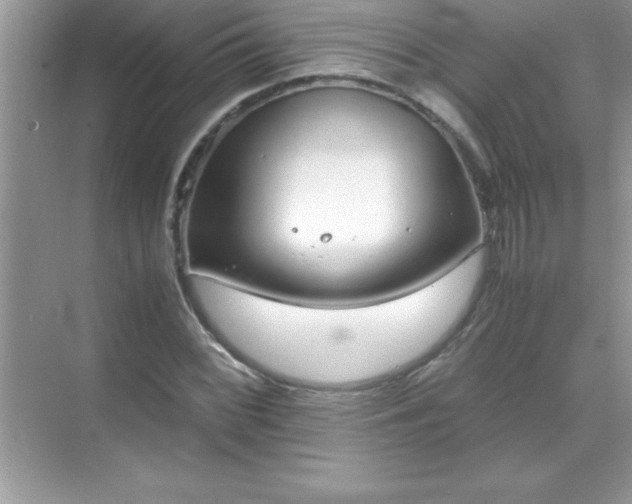 X0000071831068200607072204