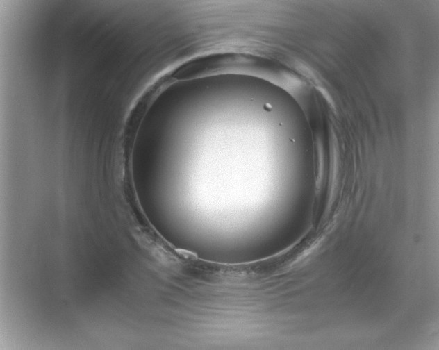 X0000071831069200607072204