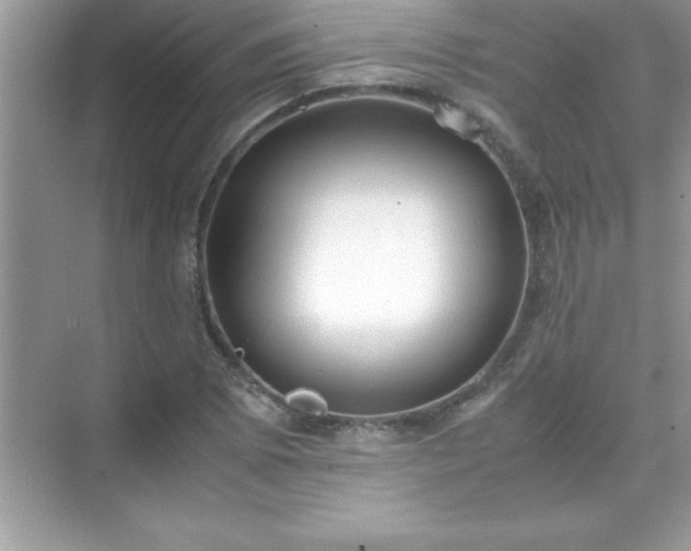 X0000071831073200607072204