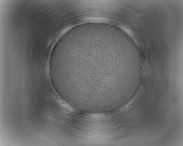 X0000071831074200607072204