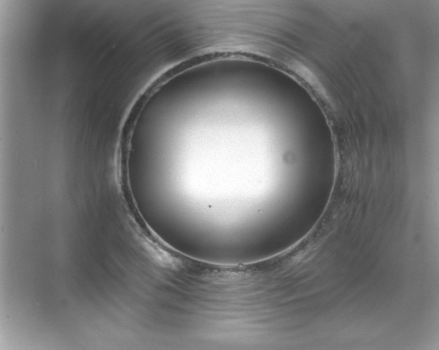 X0000071831076200607072204