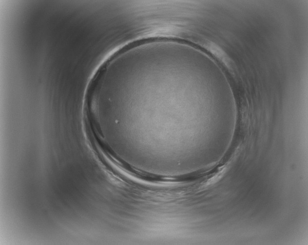 X0000071831077200607072204