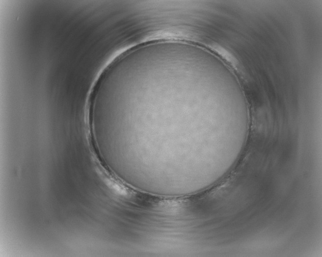 X0000071831078200607072203