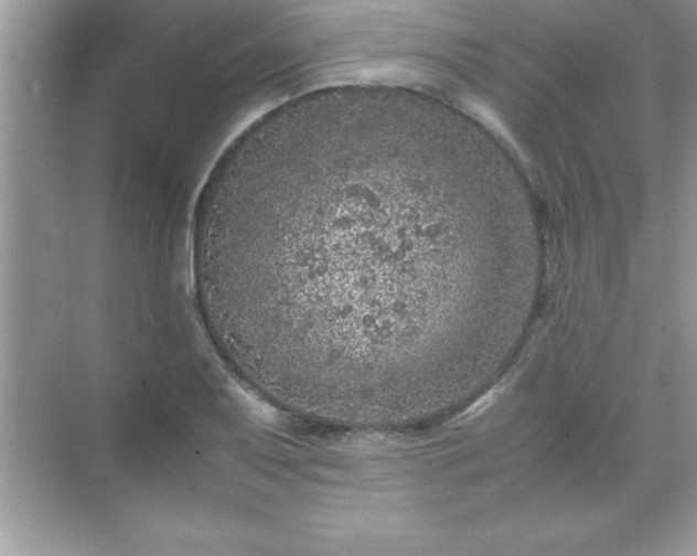 X0000071831079200607072203