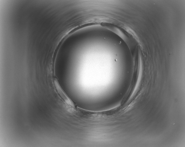 X0000071831081200607072203