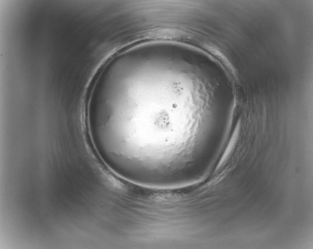 X0000071831083200607072203